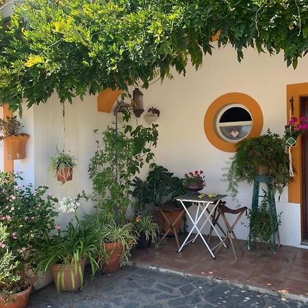 A Casa Do Lagar Leilighet Azeitao Eksteriør bilde