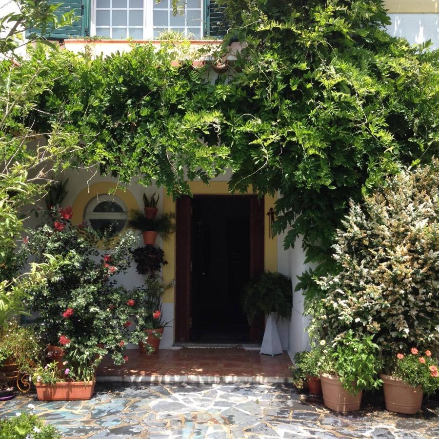 A Casa Do Lagar Leilighet Azeitao Eksteriør bilde