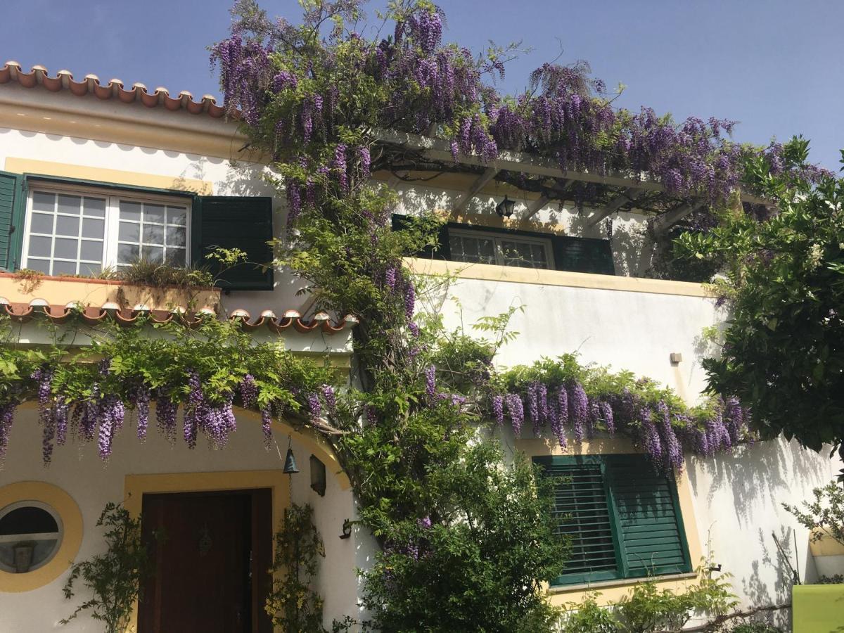 A Casa Do Lagar Leilighet Azeitao Eksteriør bilde