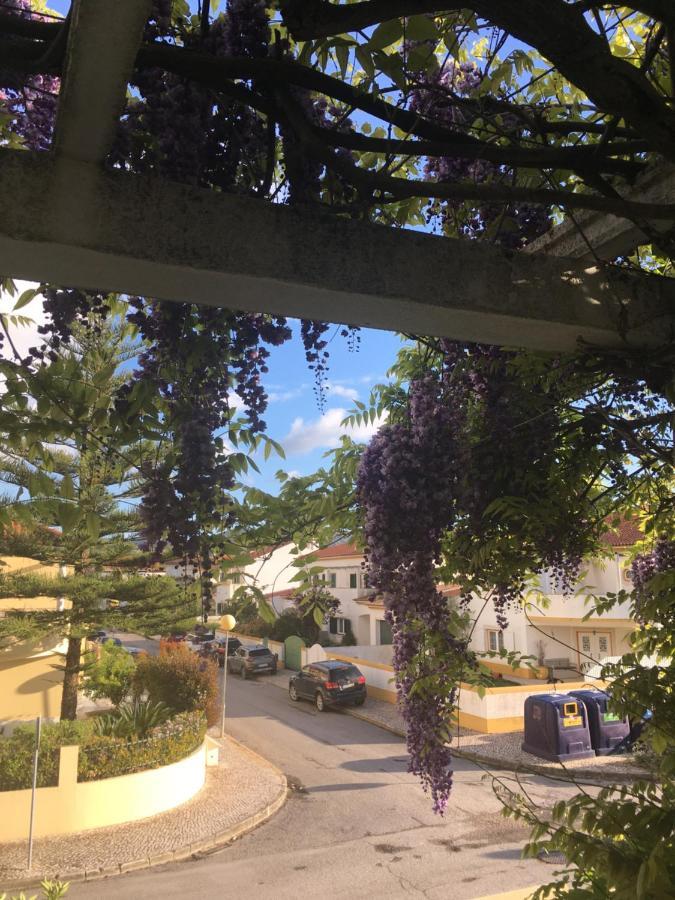 A Casa Do Lagar Leilighet Azeitao Eksteriør bilde