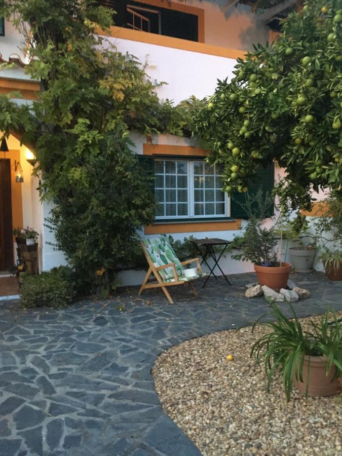A Casa Do Lagar Leilighet Azeitao Eksteriør bilde