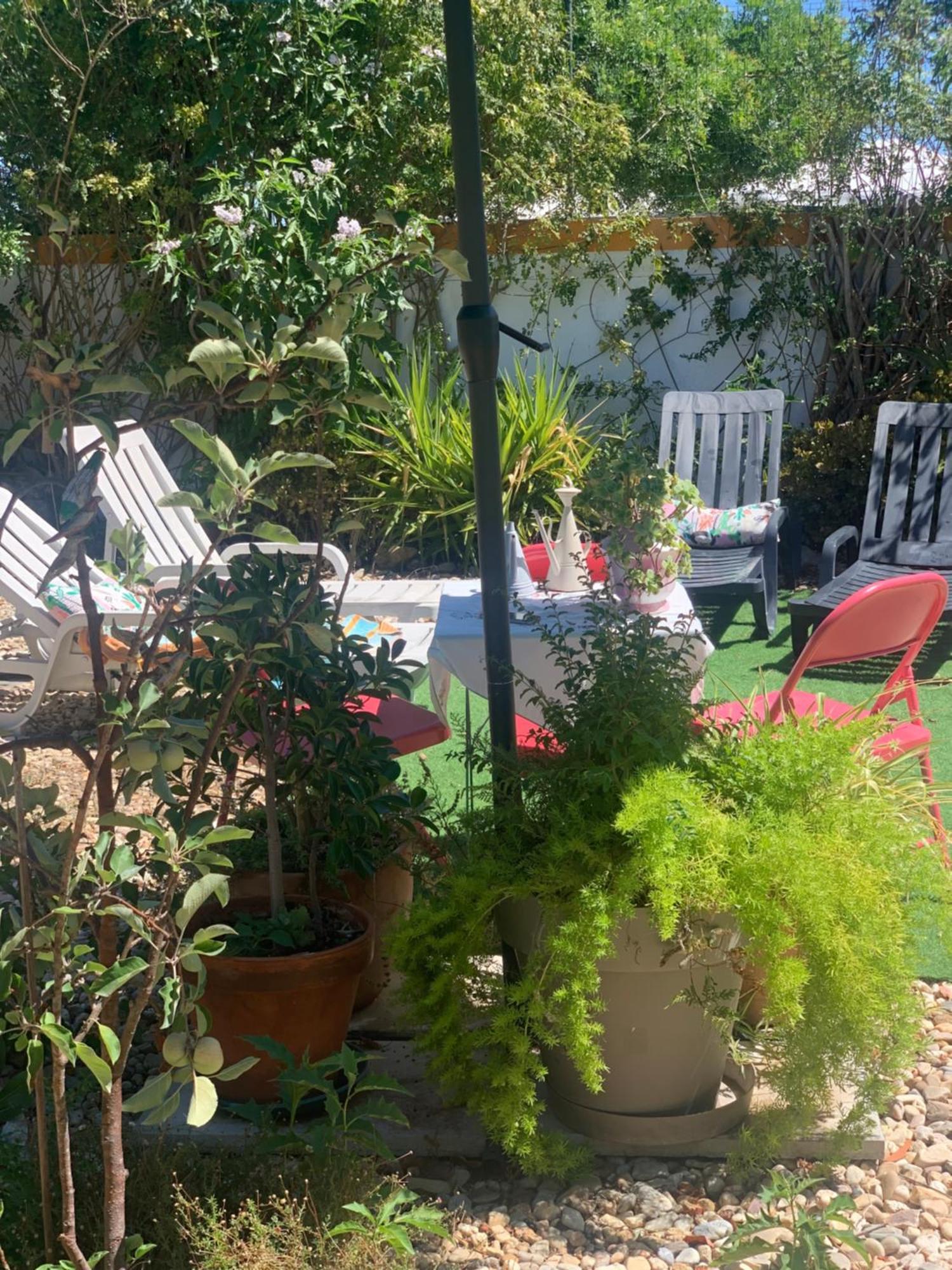 A Casa Do Lagar Leilighet Azeitao Eksteriør bilde