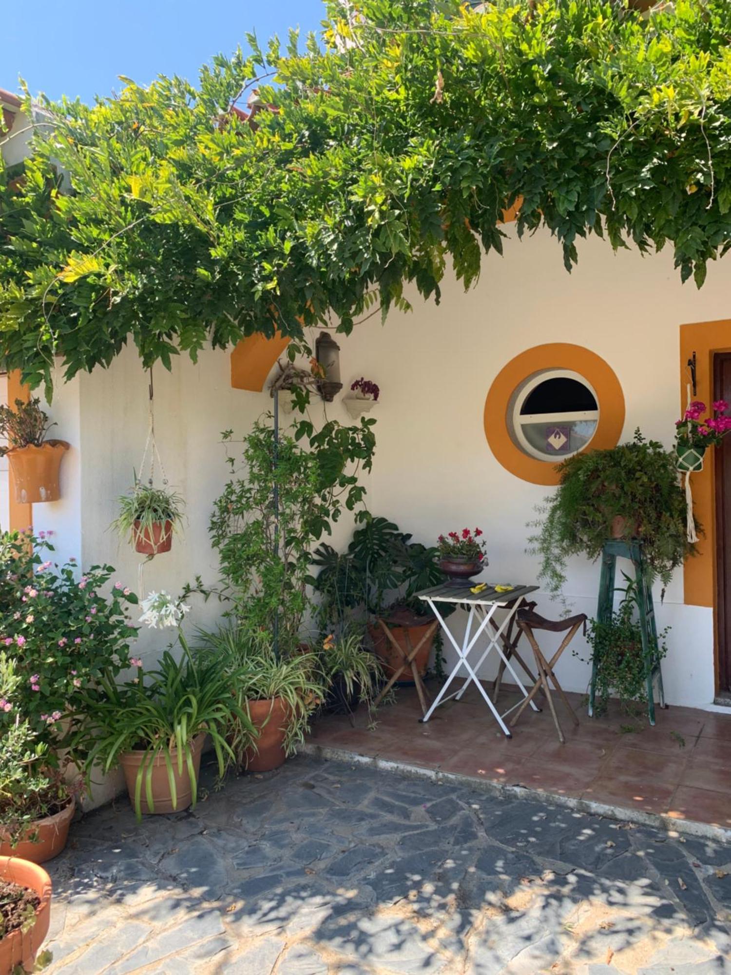 A Casa Do Lagar Leilighet Azeitao Eksteriør bilde