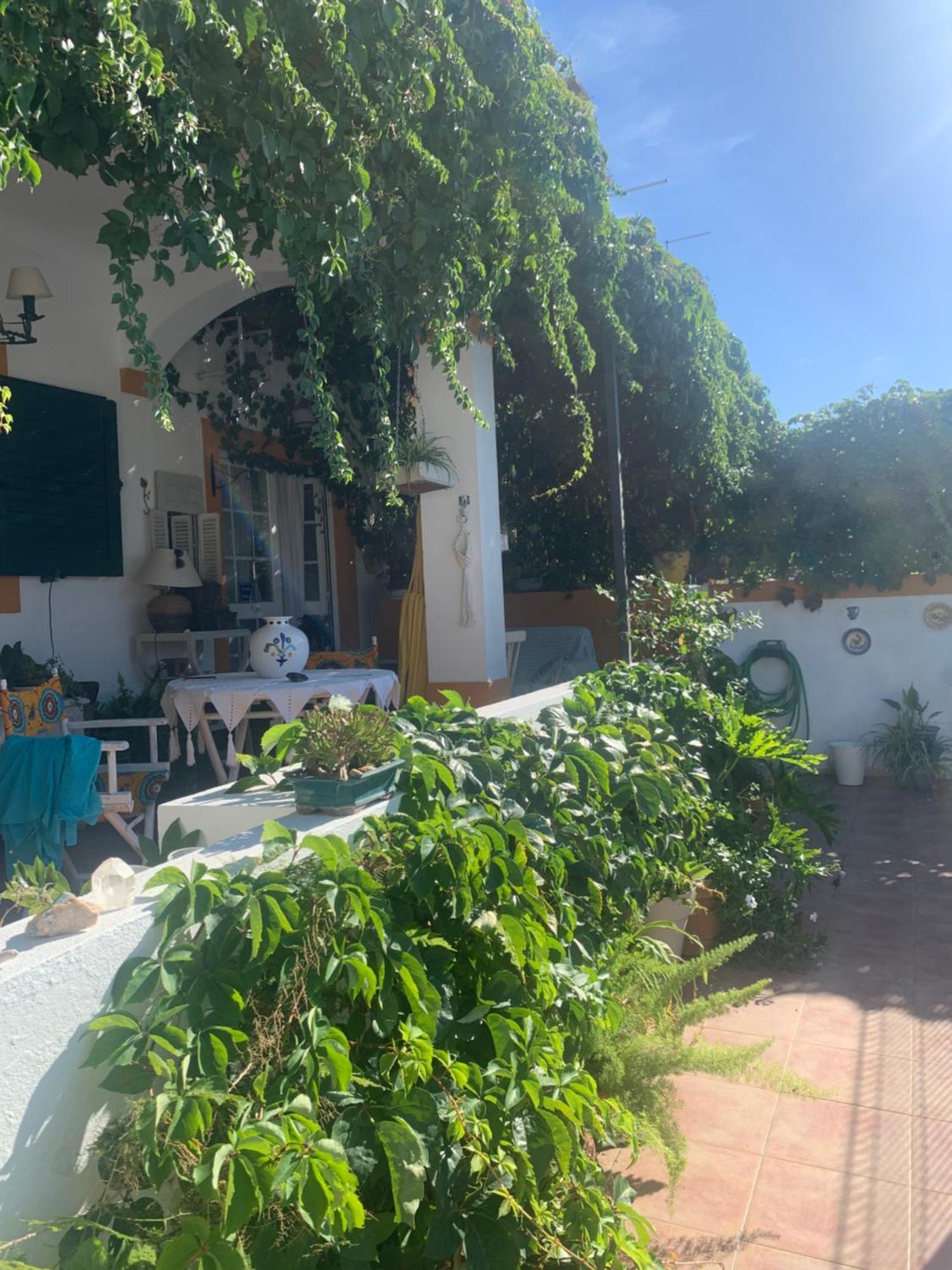 A Casa Do Lagar Leilighet Azeitao Eksteriør bilde