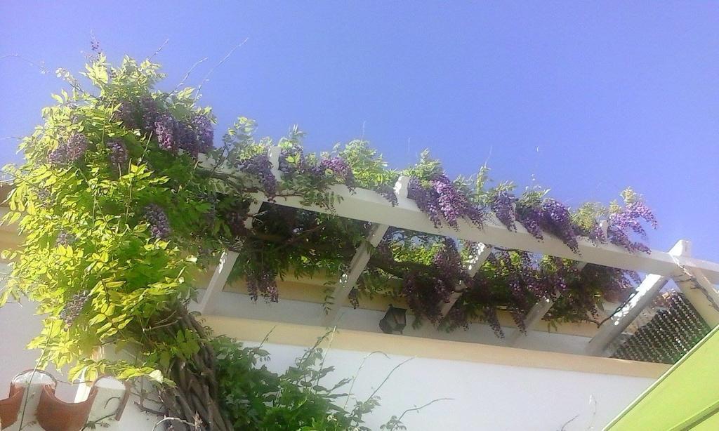 A Casa Do Lagar Leilighet Azeitao Rom bilde