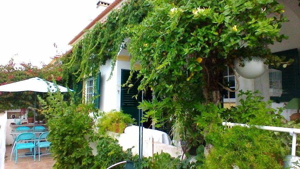 A Casa Do Lagar Leilighet Azeitao Eksteriør bilde